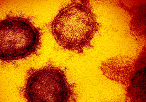 What is the Risk of Contracting COVID-19 from Surface Transmission?